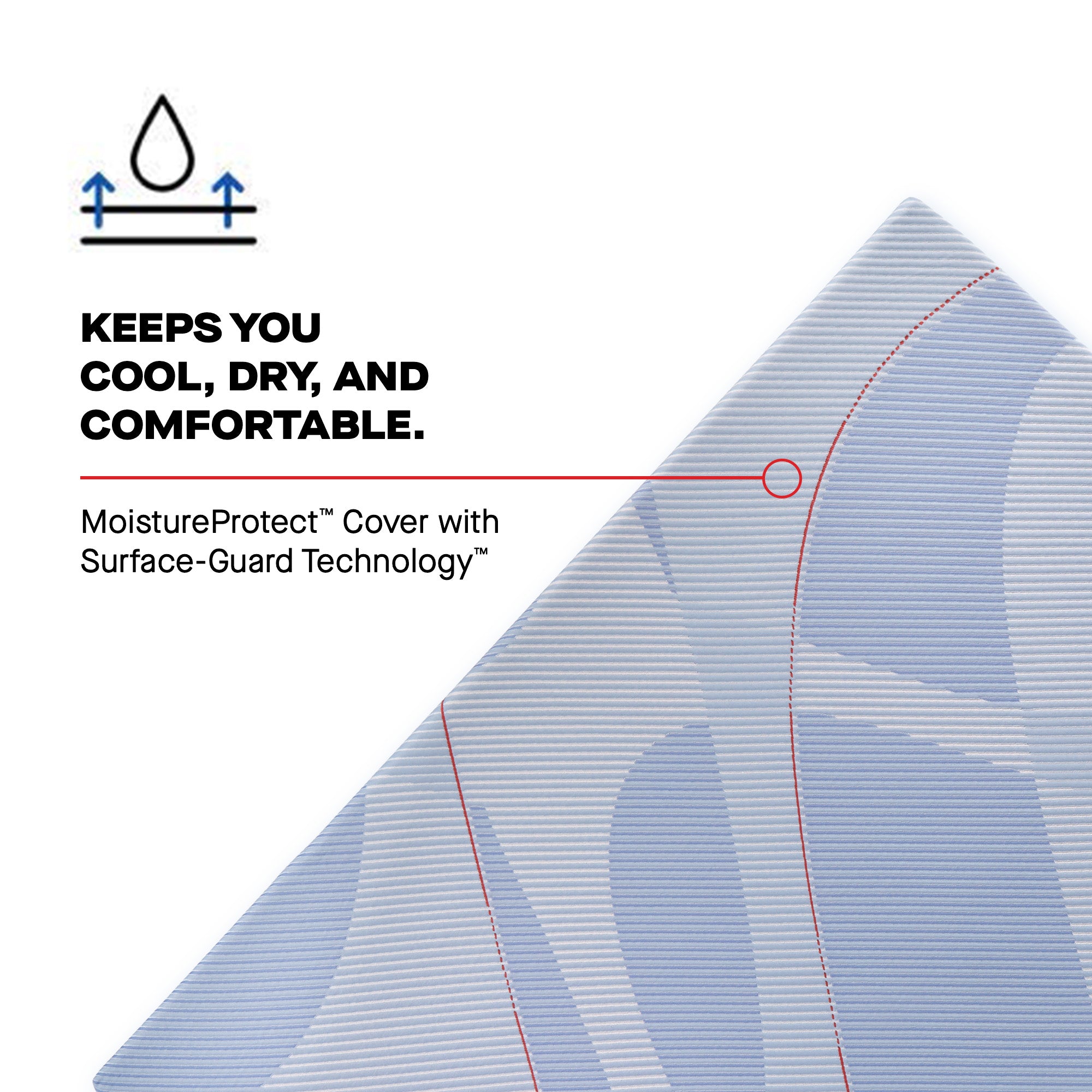 Sealy® Posturepedic® Plus: "Hagerstown" - Hybrid Soft