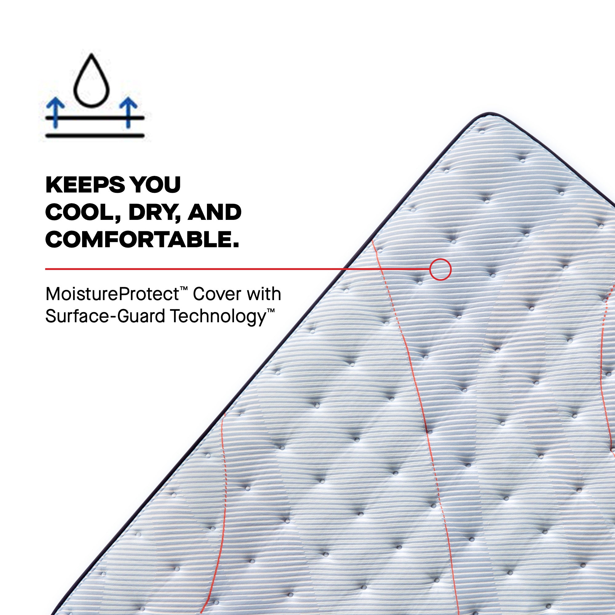 Sealy® Posturepedic®: "Dallas" - Medium Euro Pillowtop