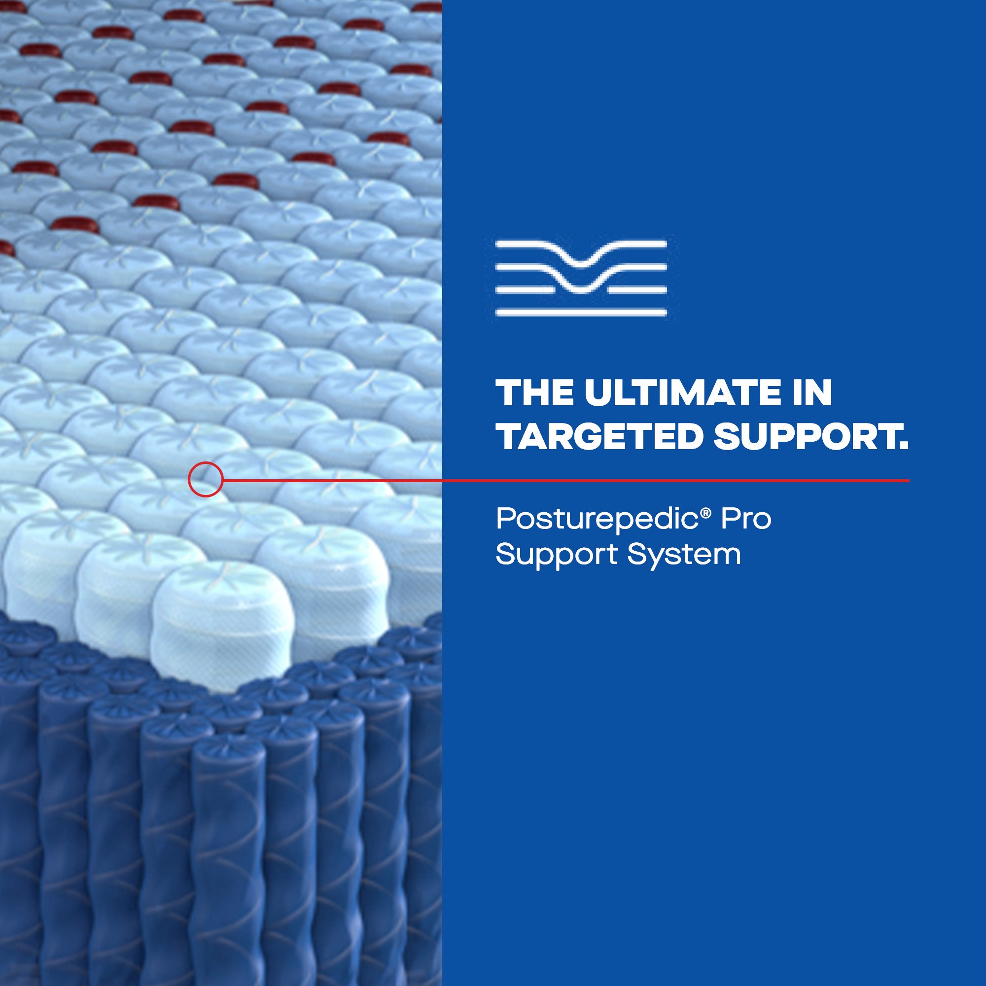 Sealy® Posturepedic® Pro: "Dupont" - Firm